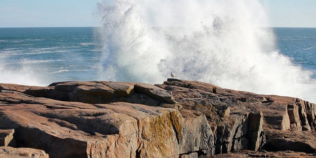 Schoodic Point - Acadia National Park