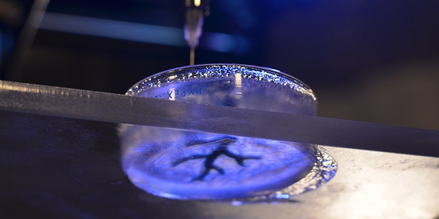 The technique involves filling a petri dish with a semiliquid mixture, dropping a syringe inside and 3-D printing soft material like collagen and fibrin, which are similar to biological components.