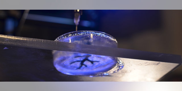 The technique involves filling a petri dish with a semiliquid mixture, dropping a syringe inside and 3-D printing soft material like collagen and fibrin, which are similar to biological components.
