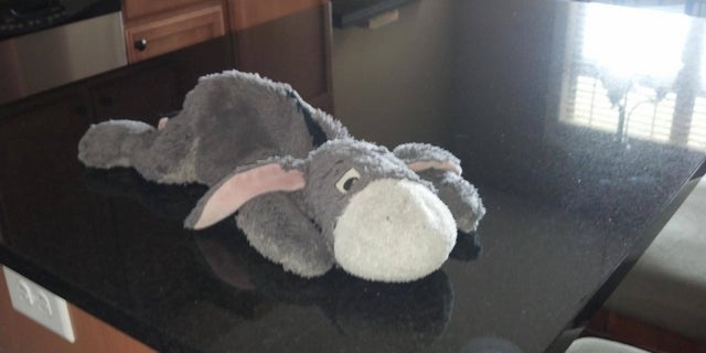 Justin Ihle, William's father, said that Eeyore (pictured above) has been missing since April 4.