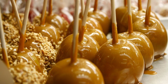 Freshly made caramel apples on a tray.