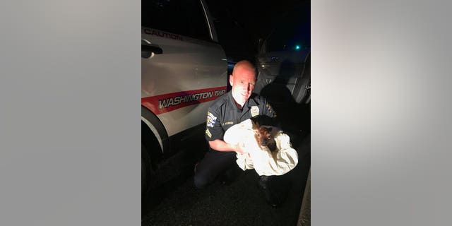 A police officer in Washington Township, New Jersey delivered a fawn via C-section early Sunday morning after its mother was hit and killed.