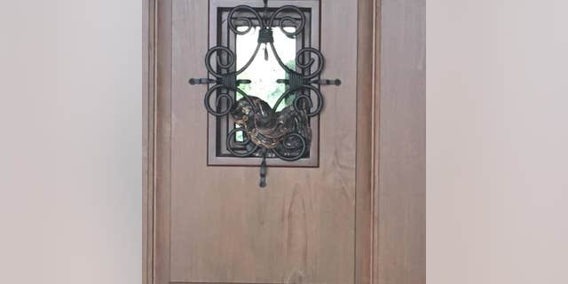 A 7-foot Texas rat snake wraps itself around a front door grille.