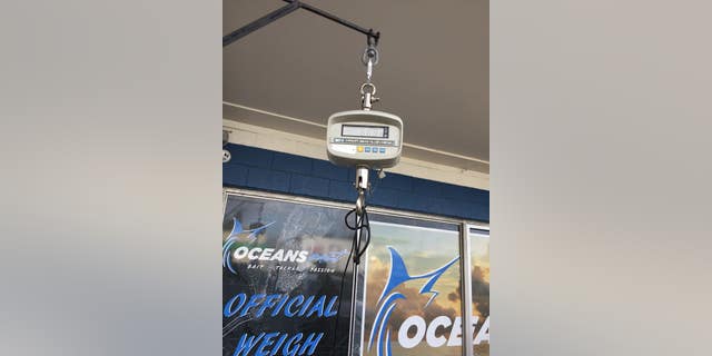 A digital scale showed the fish weighed 68.8 pounds, surpassing the previous state record holder by 2.4 pounds.