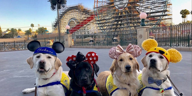 Volunteers say that Chekov, Aryssa, Essie and Ortega (left to right) had a great day at the park.