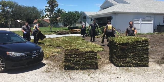Firefighters from the Pasco County Fire Rescue decided to pitch in after they transported Gene Work to the hospital after he suffered a heart attack on Saturday.