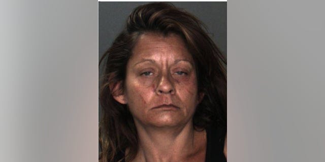 Cynthia Christine Molina, 51, was arrested for stabbing a man who exposed himself to her, police said.