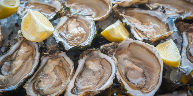 fresh oysters