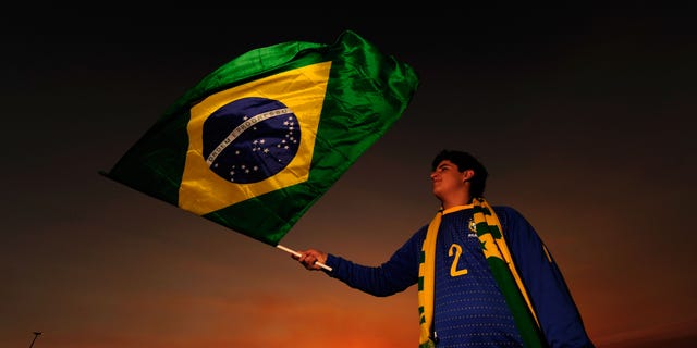 JOHANNESBURG, SOUTH AFRICA - JUNE 20: A Brazil fan waves her national flag ahead of the 2010 FIFA World Cup South Africa Group G match between Brazil and Ivory Coast at Soccer City Stadium on June 20, 2010 in Johannesburg, South Africa. (Photo by Stuart Franklin/Getty Images)