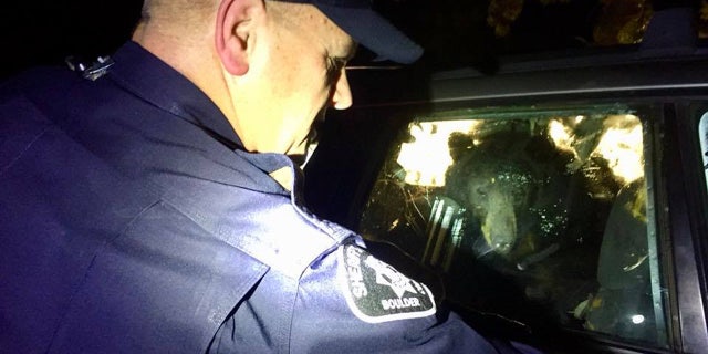 The Boulder County Sheriff’s Office had to free a bear from a car on Monday after it got locked inside.