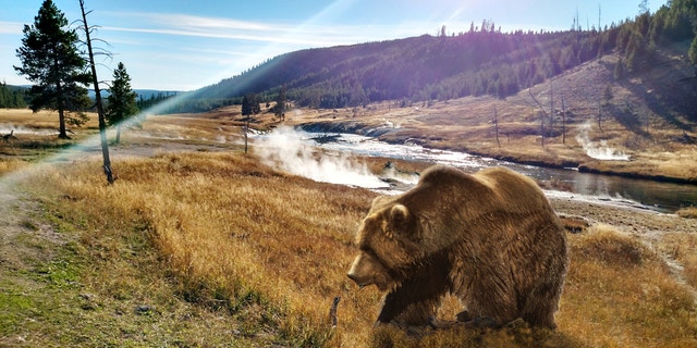 National parks are safe but accidents still happen.