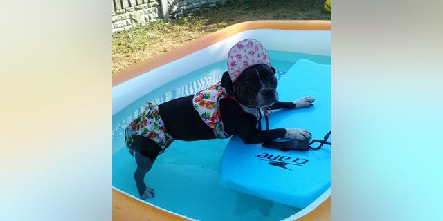 "We rescued her along with her mother when she was just a pup. She was so quiet and completely different to the larger than life character she is now.”