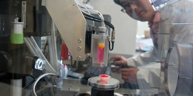 Hyun-Wook Kang oversees the 3D printer that will be used to print miniature organs for the "body on a chip" system.
