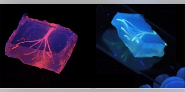 Researchers created artificial blood vessels using hydrogel constructs that combine advances in 3D bioprinting technology and biomaterials.