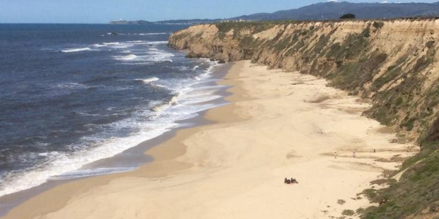 A 47-year-old woman on Sunday drowned while trying to save three children swept away off a beach in California.