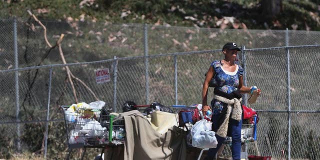 A woman keeps her belongings in shopping carts near an underpass where homeless people sleep Wednesday, July 6, 2016, in San Diego. Another San Diego homeless man was seriously injured early Wednesday by an attacker police say struck while he was asleep and tried to set him on fire, the latest in a spate of attacks on transients that have left two dead. (AP Photo/Lenny Ignelzi)