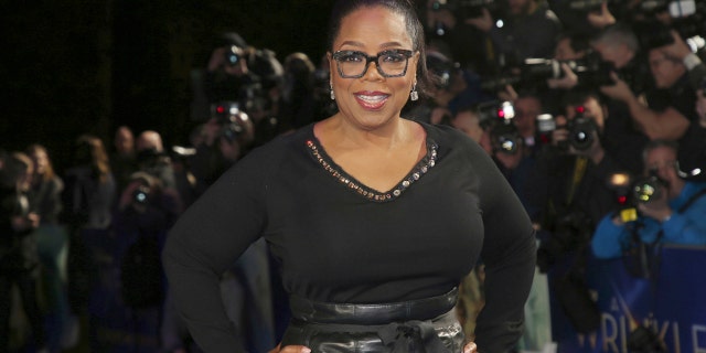 Oprah Winfrey made it clear that she did not steal the idea for her OWN network series 'Greenleaf.'