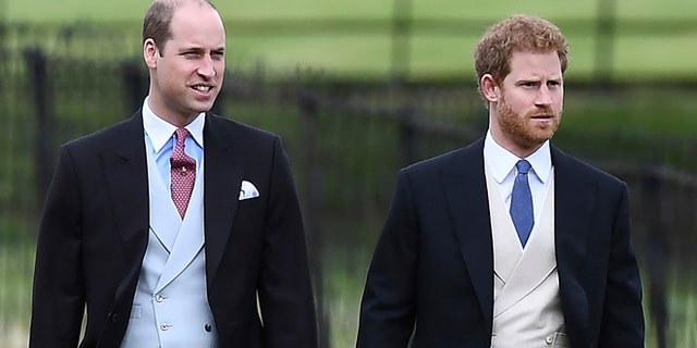 Prince William and Prince Harry will reunite on July 1 to honor their mother Princess Diana.