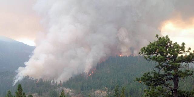 This Monday, July 28, 2014 photo released Thursday, July 31, 2014 by the U.S. Forest Service, shows flames and smoke in the Sierra National Forest, Calif. On Thursday, Fire crews are battling a blaze in Sierra National Forest about 60 miles northeast of Fresno, Calif. that was creeping closer to the Mammoth Pool Reservoir, a popular recreation spot that supplies drinking water. (AP Photo/U.S. National Forest Service, Burt Stalter)