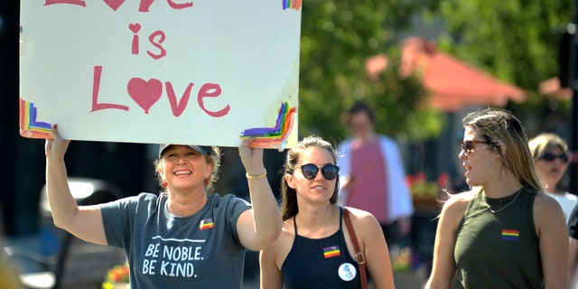Pro-LGBT protesters march in Michigan (Todd McInturf/Detroit News via AP)