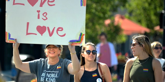 Pro-LGBT protesters march in Michigan (Todd McInturf/Detroit News via AP)