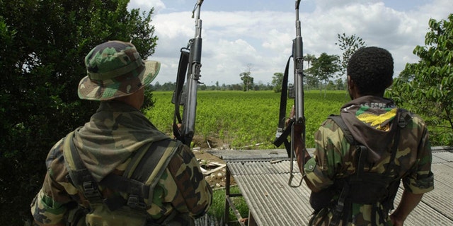 384090 01: ***EXCLUSIVE*** Two members of the AUC, the United Self Defense Force of Colombia, the extreme right paramilitary group, patrol a coca leaf plantation where a manual eradication of the coca leaves has gone into effect January 8, 2001 in the province of Putumayo, Colombia. Since the U.S. aid plan for Colombia began last December 15, the AUC are manually destroying coca leaves with machetes in and around the vast areas of coca leaf plantations south of Putumayo. The Colombian leftist guerrilla group, the FARC, is attempting to take control of areas that were under their control, not more than a year ago. (Photo by Piero Pomponi/Newsmakers)