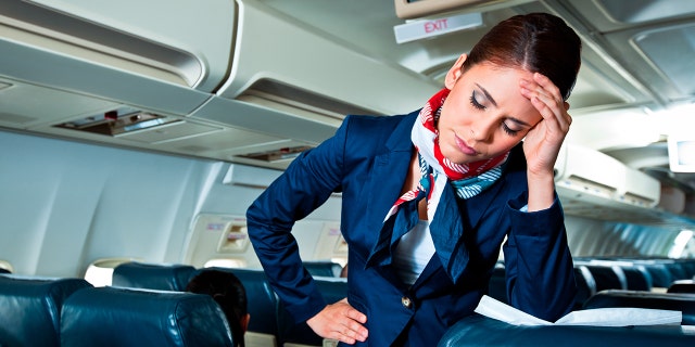 Flight attendants on SkyWest airplane reportedly get into fight, delay passengers for over an hour 3 Two flight attendants (not pictured) reportedly got into an argument over whether a passenger could switch her first-class seat for a coach seat.