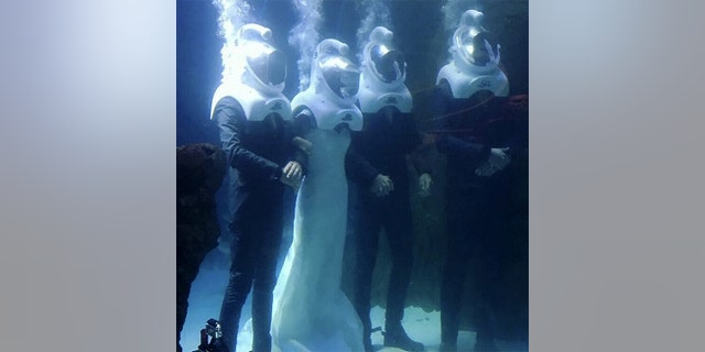 Family and friends also joined in the ceremony underseas.