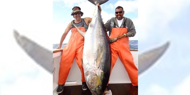 April 12, 2012: Robert Pedigo, left, and Danny Osuna pose with a 427-pound yellowfin tuna caught off the coast of Puerto Vallarta, Mexico. (Courtesy: Danny Osuna)