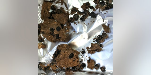The world’s oldest domesticated fava seeds which were found at Ahihud. (Kobi Vardi, courtesy of the Israel Antiquities Authority)