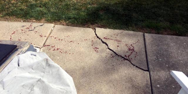 In this Sunday, July 3, 2016 photo, drops of blood are seen near a basement door, left, in Northampton, Pa. Officials in eastern Pennsylvania said a man who said he was attacked by masked men during a home invasion cut off the hand of one of them with a machete. (Pamela Lehman/The Morning Call via AP)