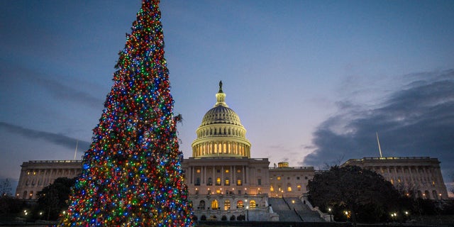 The U.S. Capitol Christmas tree is lit against the early morning sky Wednesday, Dec. 4, 2013 in Washington. The tree was officially lit Tuesday night to kick off the holiday season in the Nation's Capital. (AP Photo/J. David Ake)