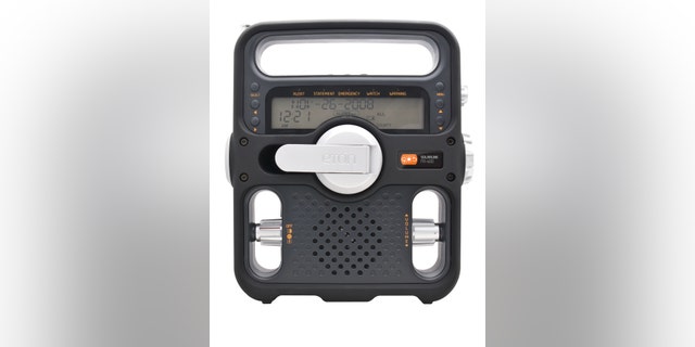 FR600