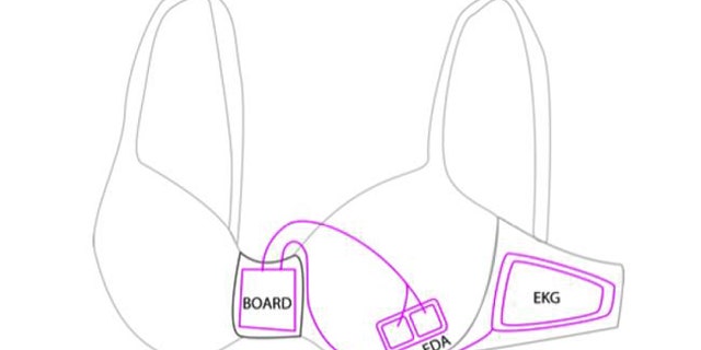 A diagram of the prototype bra.