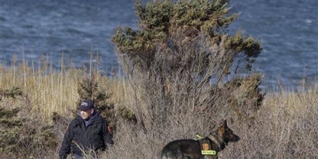 Dec. 14: New York police search brush by the side of the road near Babylon, N.Y., in the same area where authorities discovered the bodies of four women.  (AP)