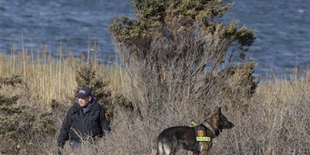 Dec. 14: New York police search brush by the side of the road near Babylon, N.Y., in the same area where authorities discovered the bodies of four women. (AP)