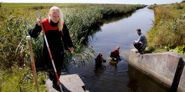 Divers search Copenhagen waters for body parts, items that belong to slain journalist Kim Wall.