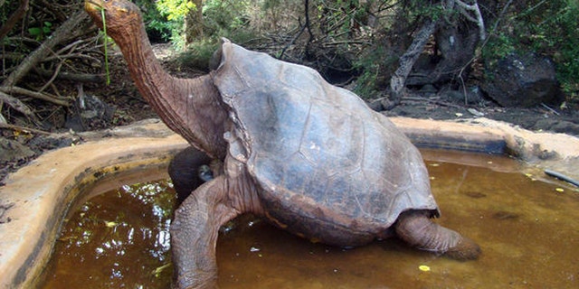 (Galapagos National Park, Associated Press)