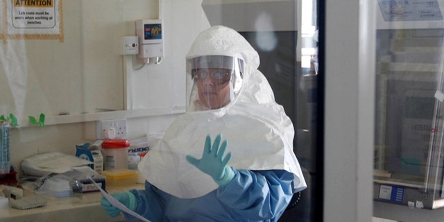 FILE: May 2011: A laboratory specialist examines specimens of the Ebola virus at the Uganda virus research centre in Entebbe.