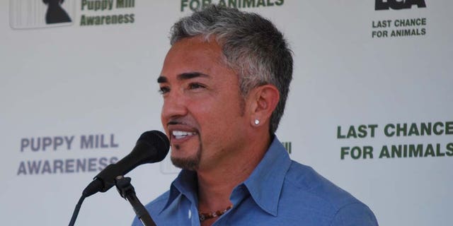 Cesar Millan