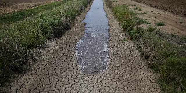 FILE - In this May 1, 2014 file photo, irrigation water runs along the dried-up ditch between the rice farms to provide water for the rice fields in Richvale, Calif. The federal government will be pouring nearly a quarter-billion dollars into several dozen projects aimed at tackling the effects of drought in the West and restoring watersheds that provide drinking water to communities around the nation. The head of the U.S. Department of Agriculture's Natural Resources Conservation Service, Jason Weller, said Wednesday, Dec. 21, 2016, that in addition to the federal funds, the projects will leverage close to $500 million from state, local and private partners. (AP Photo/Jae C. Hong, File)