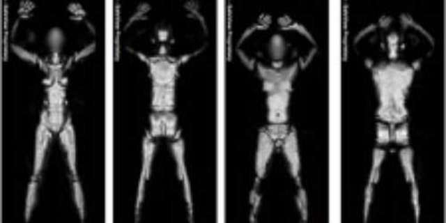Millimeter wave technology produces images which are viewed by security officials in a remote location.