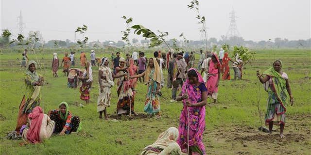 Indian women plant saplings on the outskirts of Allahabad, India, on July 11.