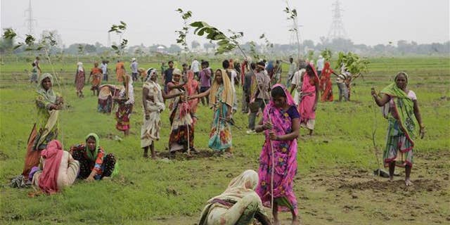 Indian women plant saplings on the outskirts of Allahabad, India, on July 11.