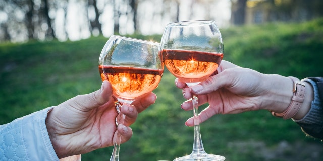 Saturday, June 11, is National Rosé Day — maybe the perfect day to have a little celebration with friends or family.