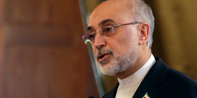 "The failure of the nuclear deal will undermine the political credibility and international stature of the U.S. in this tumultuous political environment," Iranian nuclear chief Ali Akbar Salehi said.