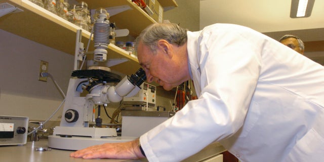 VANCOUVER, BC - JANUARY 4: Canadian Prime Minister Paul Martin views tissue cultures during a tour of the BC Cancer Agency laboratory on the thirty seventh day of the election campaign January 4, 2006 in Vancouver, British Columbia. In a speech at the facility, Prime Minister Martin promised funds for cancer research. The upcoming Canadian election is scheduled for January 23. (Photo by Don MacKinnon/Getty Images)
