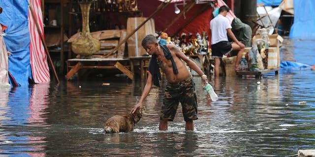 In this Thursday Dec. 29, 2016 photo, a man pets a dog along a flooded street caused by rains from Typhoon Nock-Ten in Quezon city, north of Manila, Philippines. The powerful typhoon slammed into the eastern Philippines on Christmas Day, spoiling the biggest holiday in Asia's largest Catholic nation, where a governor offered roast pig to entice villagers to abandon family celebrations for emergency shelters. (AP Photo/Aaron Favila, File)