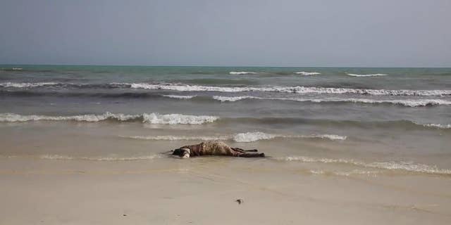 FILE -- In this June 2, 2016 file photo, the body of a migrant lays on the beach, one of more than 100 bodies pulled from the Mediterranean Sea after a smuggling boat carrying mainly African migrants sank, near the western city of Zwara, Libya. (APTV via AP, File)