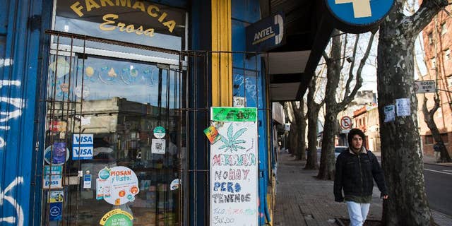 FILE - In this June 28, 2016 file photo, the Erosa pharmacy displays a sign at the front door telling clients that they do not have marijuana for sale, but they sell other herbs known for their medical effects, in downtown Montevideo, Uruguay. Uruguay is beginning to register people who want to legally buy marijuana at pharmacies as part of the world's first government-regulated national marketplace for pot. Authorities announced the registry's launch Tuesday, May 2, 2017. (AP Photo/Matilde Campodonico, File)